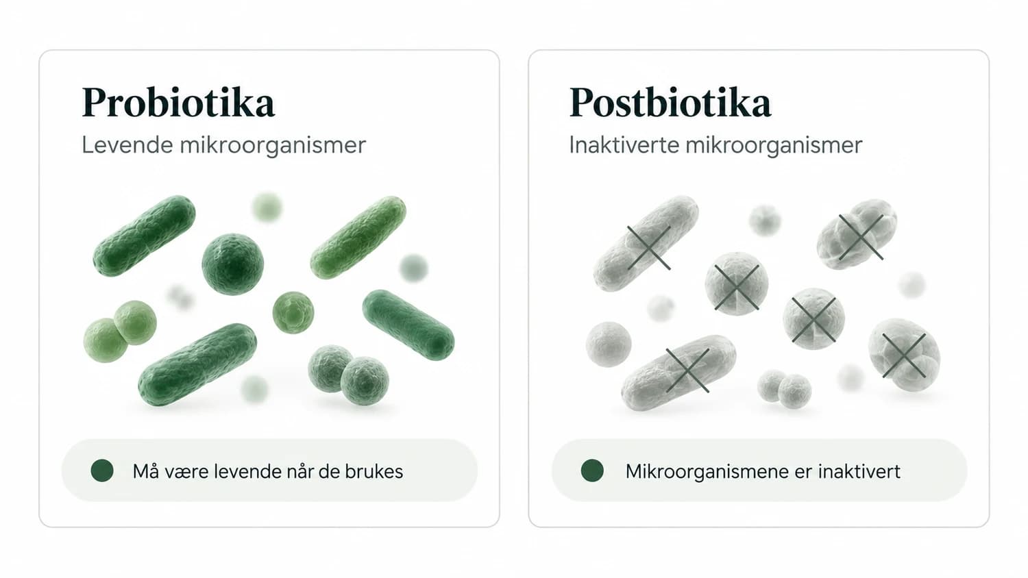 Infografik som visar skillnaden mellan probiotika och postbiotika.